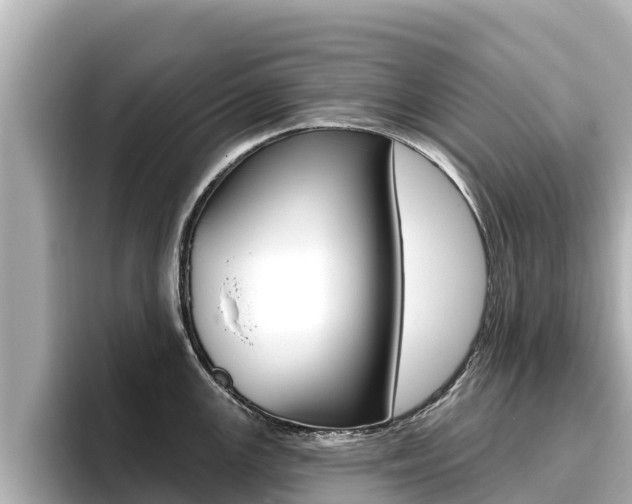 X0000096681147200802051025