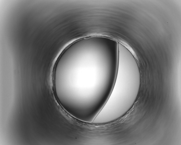 X0000096681148200802051025