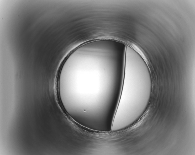 X0000096681149200802051025