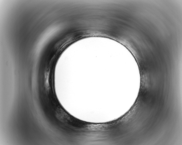 X0000096681150200802051025