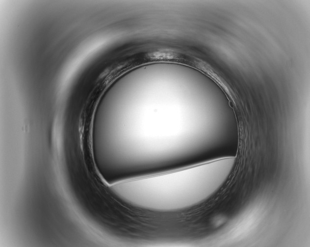 X0000096681151200802051025