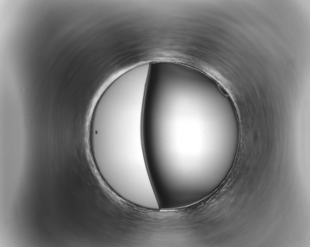 X0000096681152200802051025