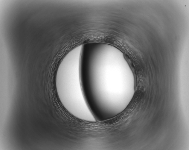 X0000096681153200802051024