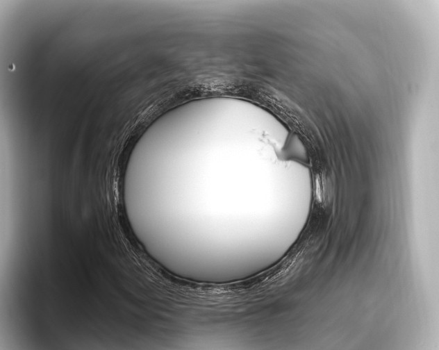 X0000096681155200802051024