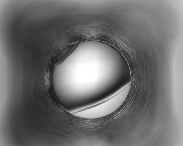 X0000096681156200802051024