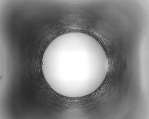 X0000096681157200802051024