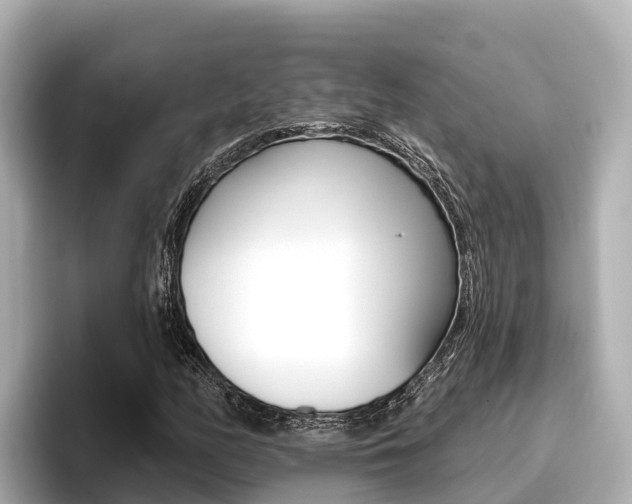 X0000096681158200802051024
