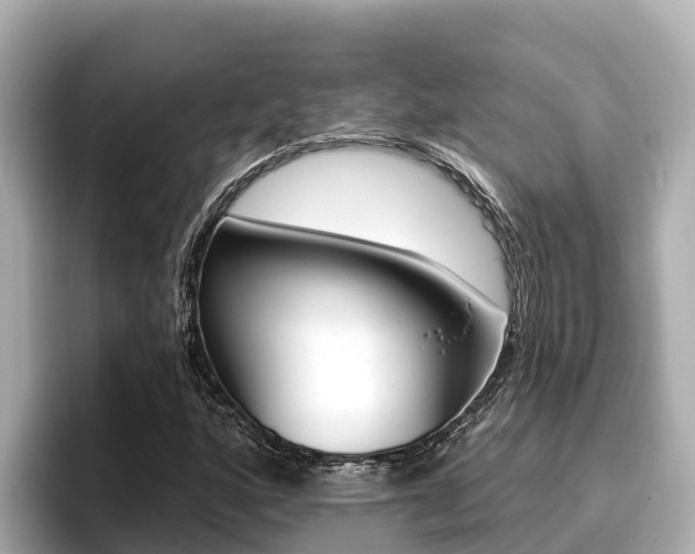 X0000096681160200802051024