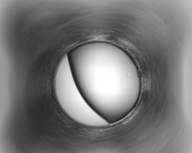 X0000096681161200802051024