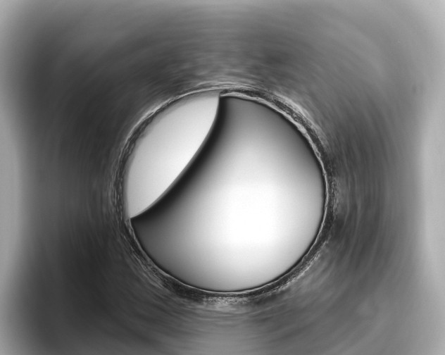 X0000096681163200802051024