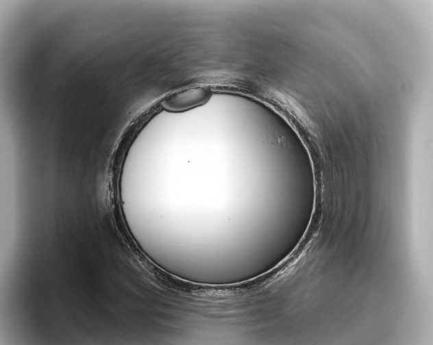 X0000096681164200802051024