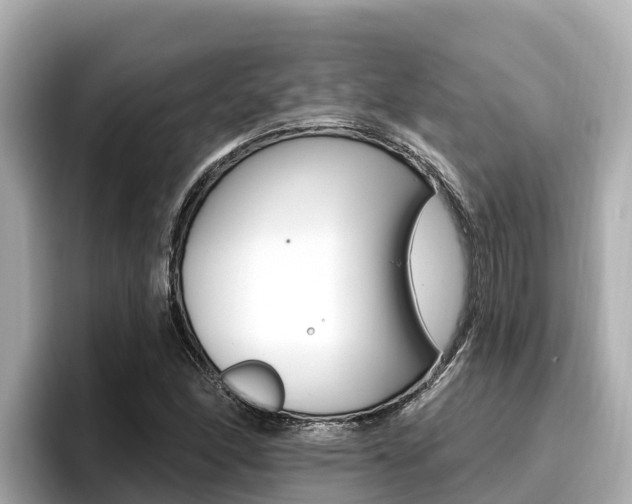 X0000096681166200802051024