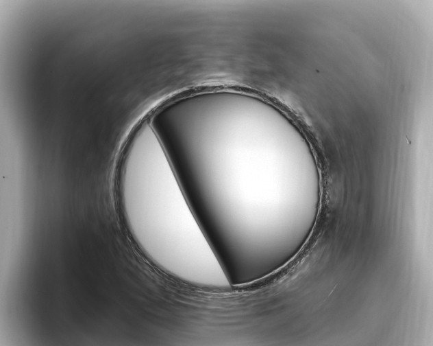 X0000096681167200802051024