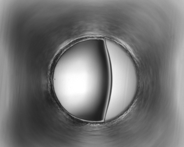 X0000096681168200802051024
