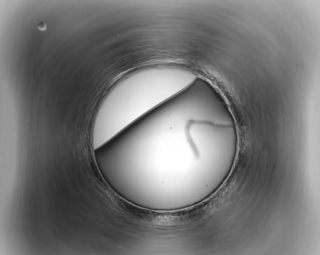 X0000096681169200802051024