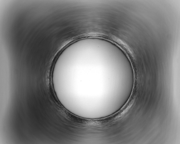 X0000096681170200802051024