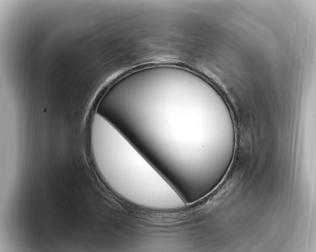 X0000096681171200802051024