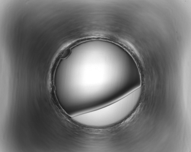 X0000096681172200802051024