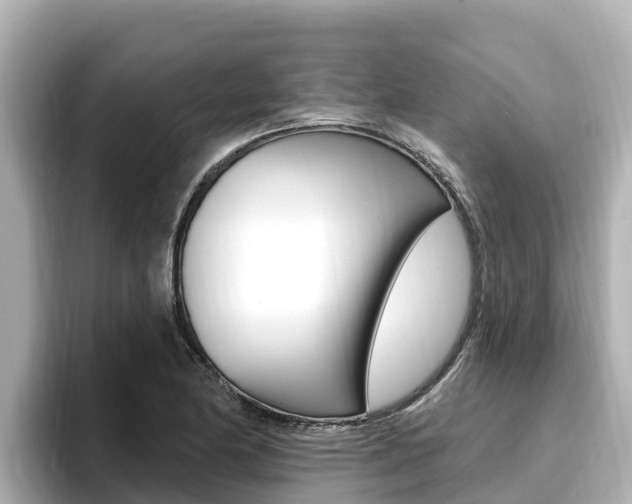 X0000096681174200802051024
