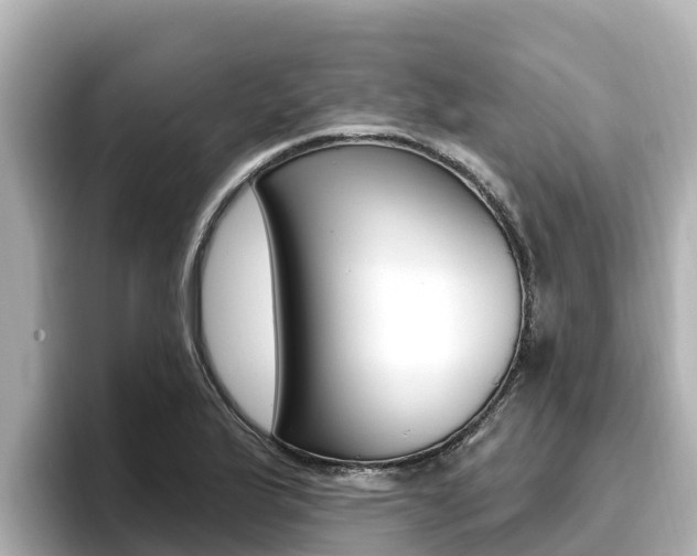 X0000096681175200802051024