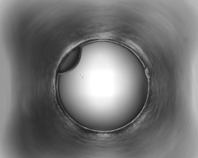 X0000096681176200802051024