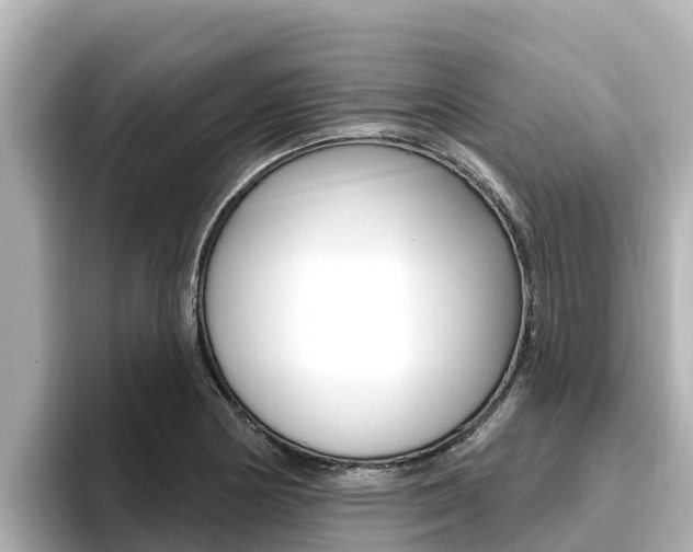 X0000096681178200802051024