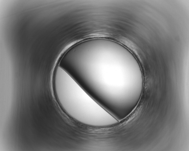 X0000096681179200802051024