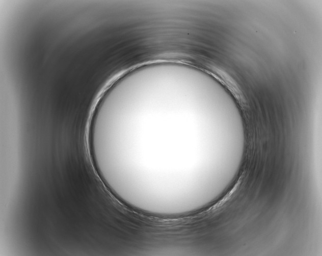 X0000096681180200802051024