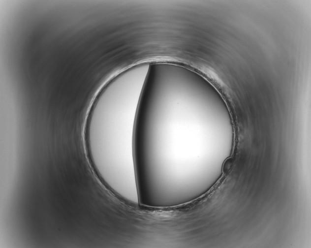 X0000096681181200802051024
