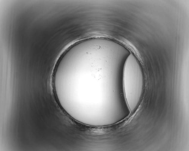 X0000096681182200802051024