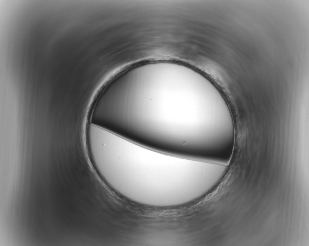 X0000096681183200802051024