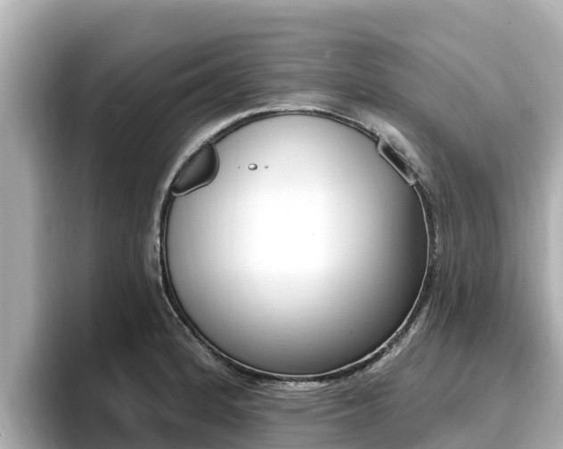 X0000096681184200802051024