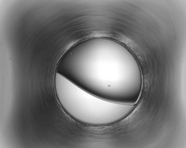 X0000096681185200802051024