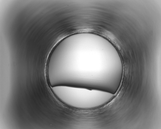 X0000096681186200802051024