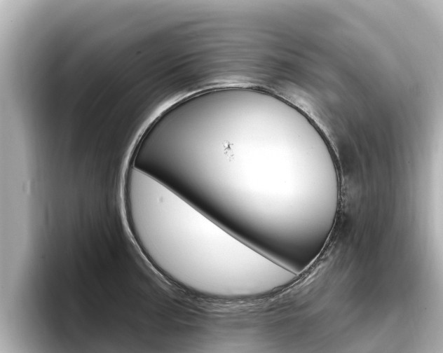 X0000096681187200802051024