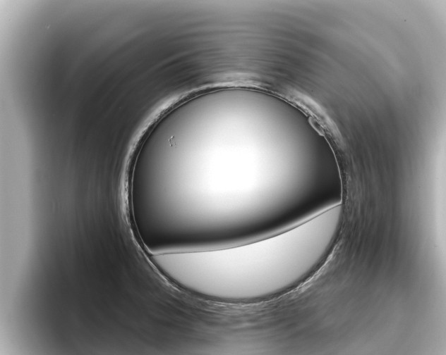 X0000096681188200802051024