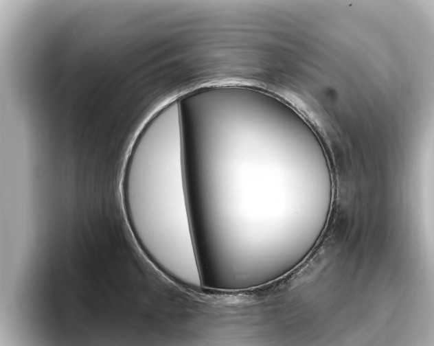 X0000096681189200802051024