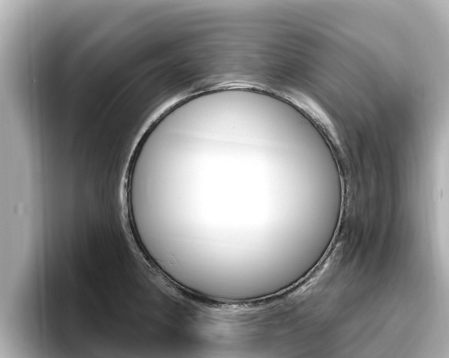X0000096681190200802051024