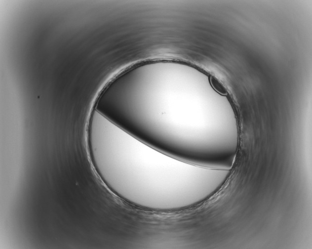 X0000096681191200802051024