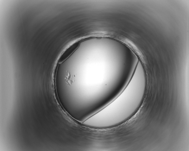 X0000096681192200802051023