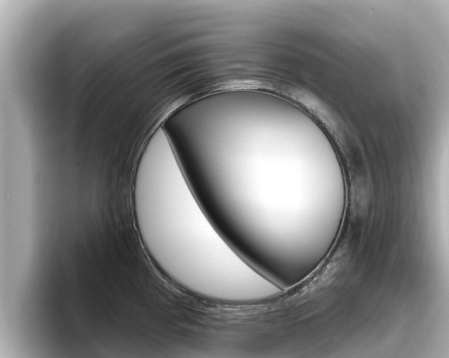 X0000096681193200802051023