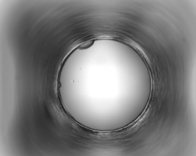 X0000096681194200802051023