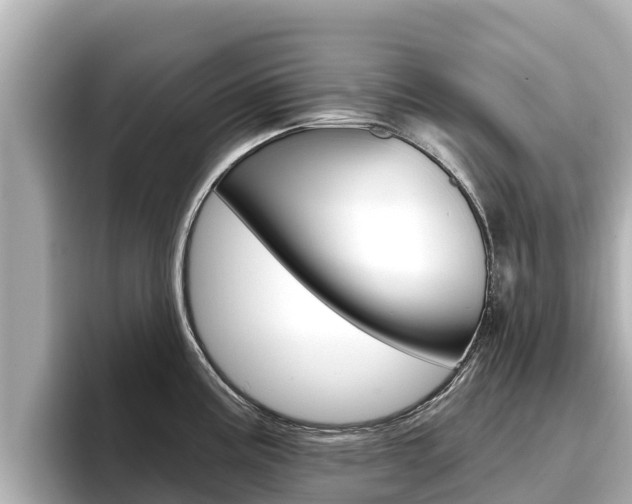 X0000096681195200802051023