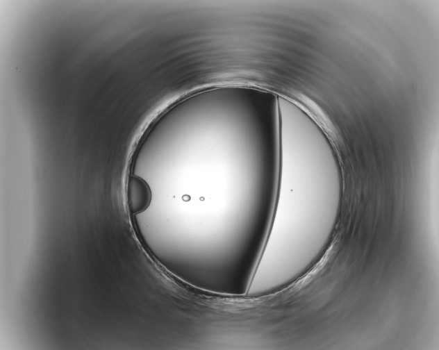 X0000096681196200802051023