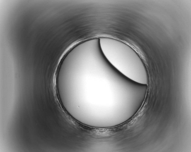 X0000096681198200802051023