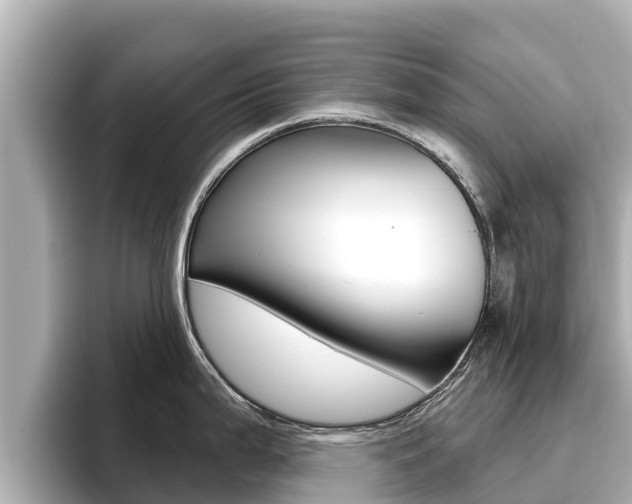 X0000096681199200802051023