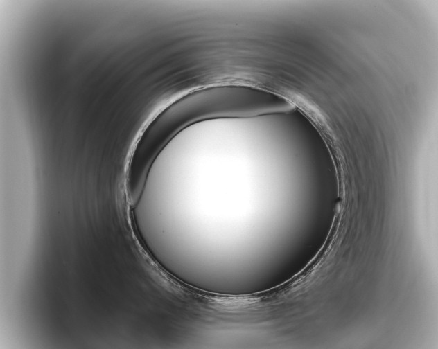 X0000096681200200802051023