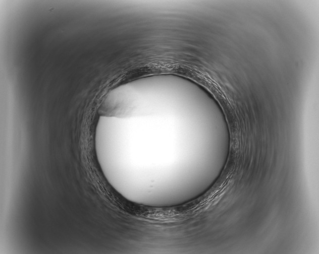 X0000096681201200802051023