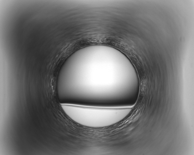 X0000096681202200802051023