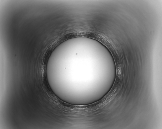 X0000096681204200802051023